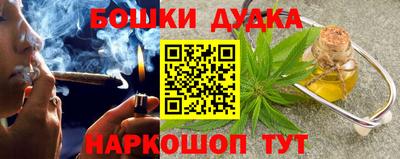 сатива Лесосибирск