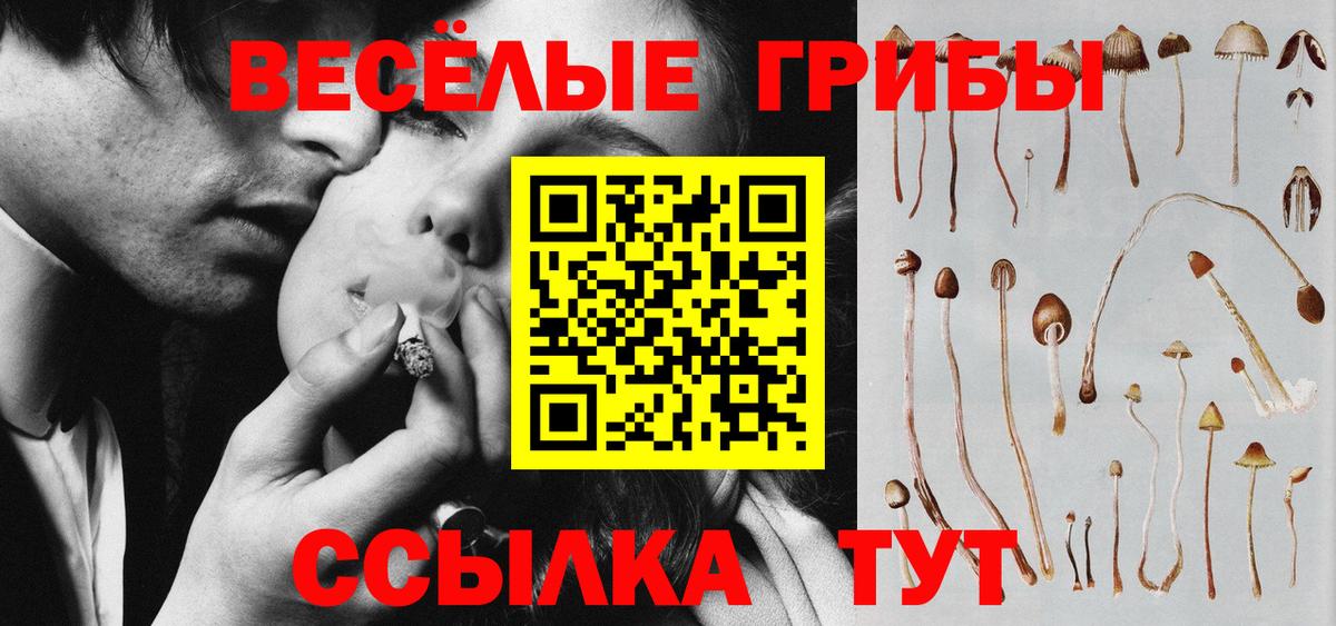 Галлюциногенные грибы GOLDEN TEACHER Карпинск